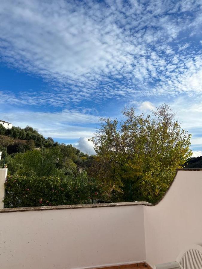 Bajadilla 5 Landhaus